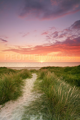 Buy stock photo Sunset - the West coast of Jutland, Loekken, Denmark. Landscape of tufts of green grass growing on empty beach with copyspace at twilight horizon. Scenic seaside to explore for travel and tourism