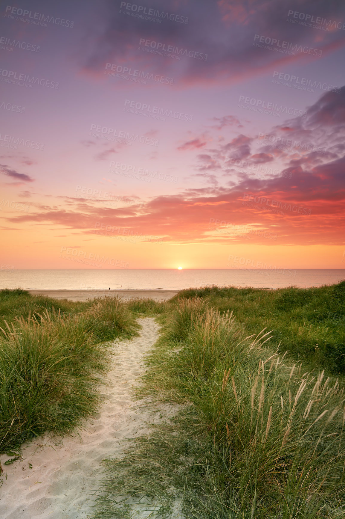 Buy stock photo Sunset - the West coast of Jutland, Loekken, Denmark. Landscape of tufts of green grass growing on empty beach with copyspace at twilight horizon. Scenic seaside to explore for travel and tourism