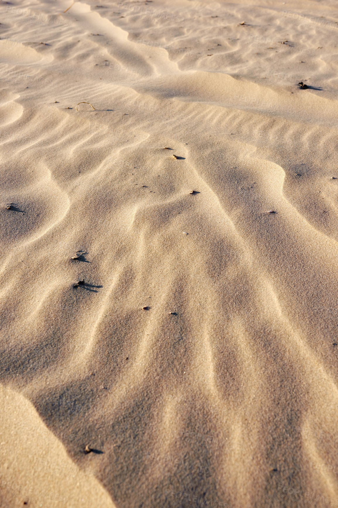 Buy stock photo Natural sand art at the beach