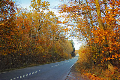 Buy stock photo Autumn, leaves and sunshine with plants by road for eco friendly, environment and outdoor travel. Adventure, wallpaper and colorful trees at countryside for freeway, journey and holiday in Germany