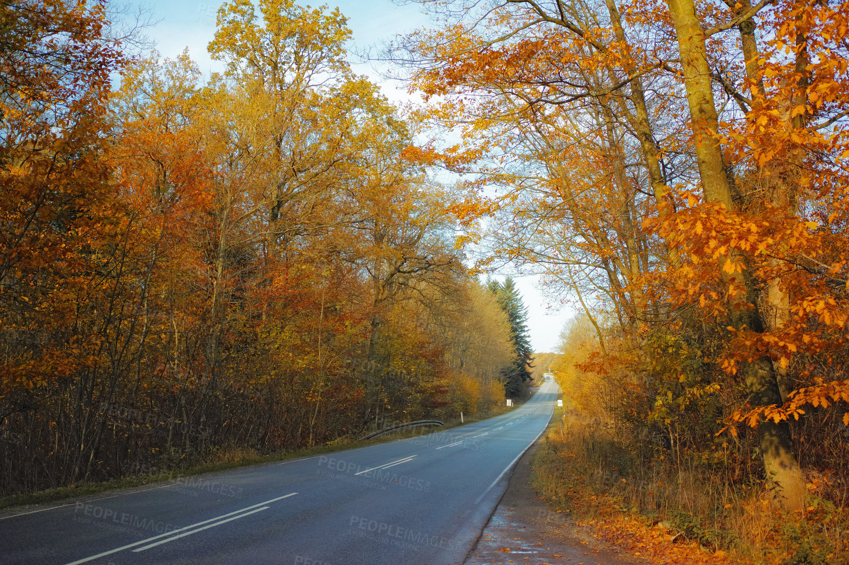 Buy stock photo Autumn, leaves and sunshine with plants by road for eco friendly, environment and outdoor travel. Adventure, wallpaper and colorful trees at countryside for freeway, journey and holiday in Germany