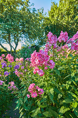 Buy stock photo A photo of the garden in late summer