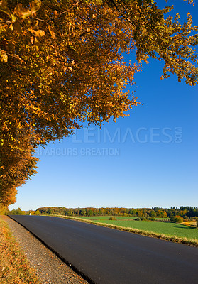 Buy stock photo Road, nature and travel in field on blue sky with outdoor environment on countryside journey. Green trees, landscape and calm morning with sustainability for climate change development in rural woods