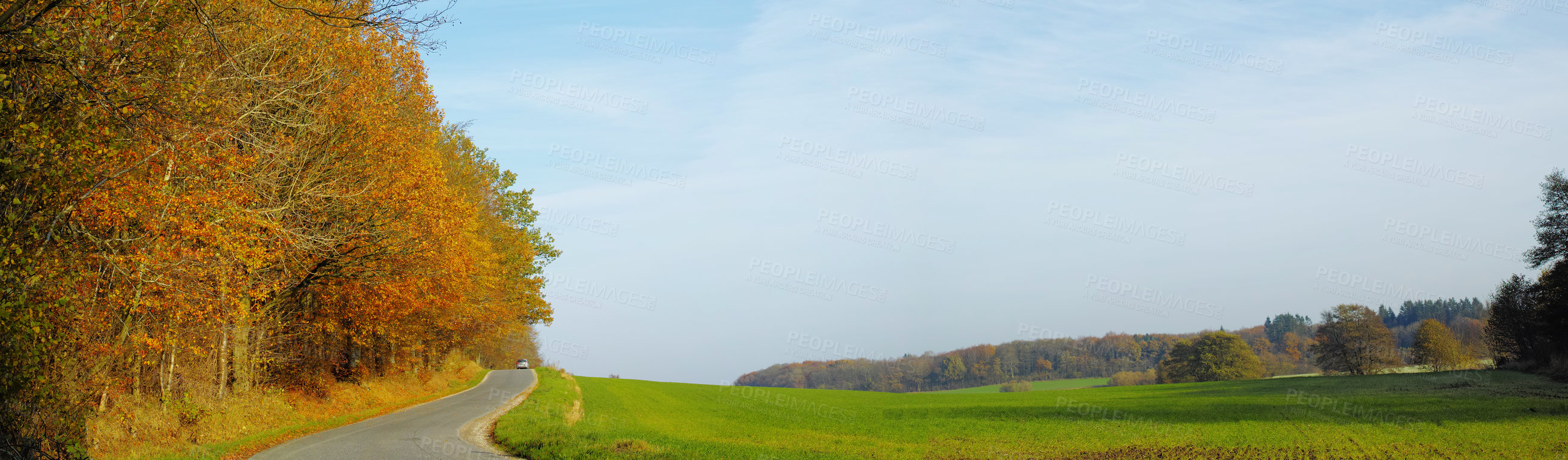 Buy stock photo Autumn, trees and blue sky with clouds at countryside for environment, sustainability and road trip. Earth, outdoor and forest with banner in nature for eco friendly, travel and adventure in Germany