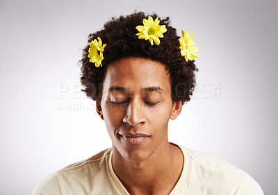 Buy stock photo Eyes closed, afro and black man with hair or flowers, plant and petal decoration or happy isolated on white background. Male person, gen z guy or student with comic hairstyle on studio backdrop