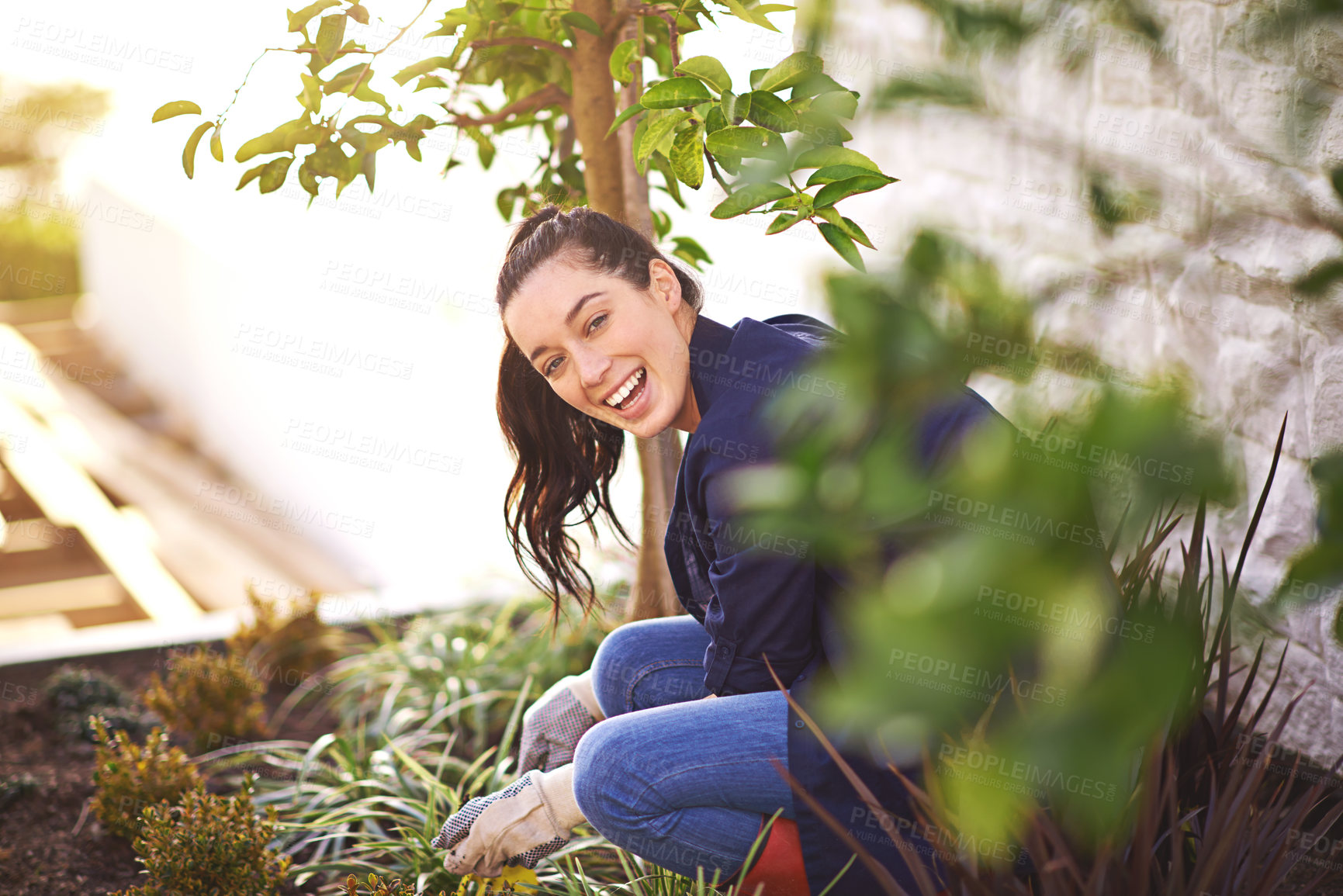 Buy stock photo Portrait of a young woman working in her garden