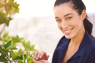 Buy stock photo Portrait of a young woman inspecting the leaves on her tree