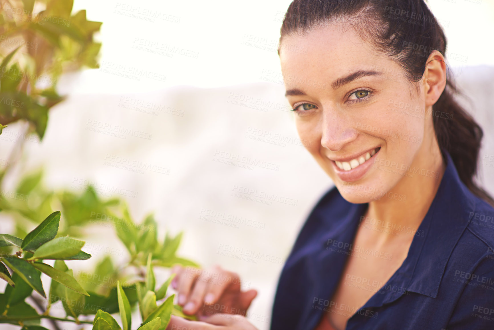 Buy stock photo Portrait, woman and trees growth for gardening in backyard with maintenance, care and garden for safety in summer. Smile, female person and eco friendly with leaf, plant and inspection of agriculture