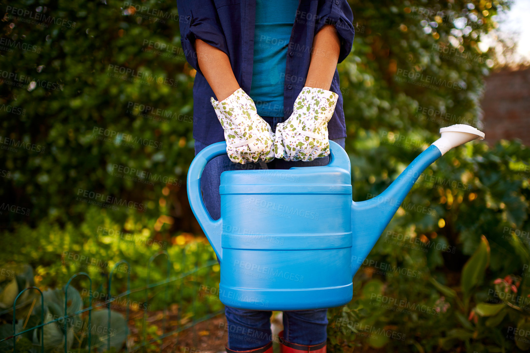 Buy stock photo Cropped shot of a young woman holding a water can while gardening in her backyar