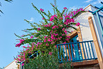 The old town of Bodrum, Turkey