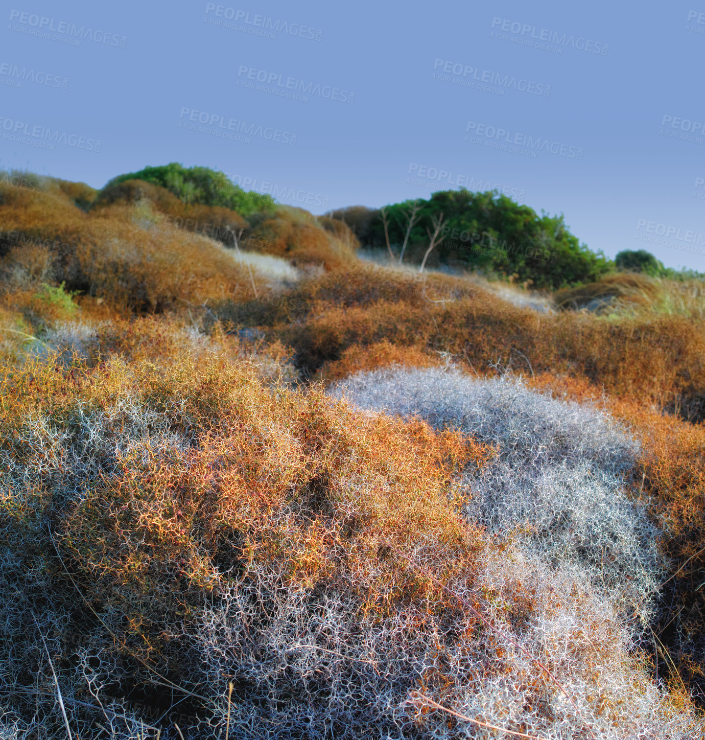 Buy stock photo Wilderness by the Mediterranean Sea. Close to the ancient city of Bodrum, Turkey