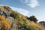 Wilderness by the Mediterranean Sea, Bodrum, Turkey