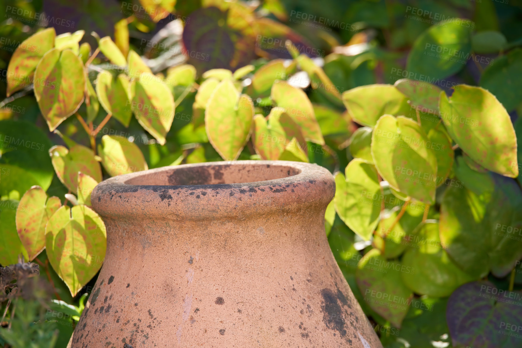 Buy stock photo The garden in autumn