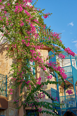 Buy stock photo City photos of the old town of Bodrum, Turkey