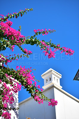 Buy stock photo City photos of the old town of Bodrum, Turkey