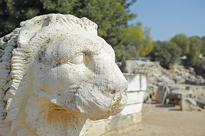 Buy stock photo Closeup of lion statue with copyspace in the Temple of Apollo, Turkey. Zoom on details of a carved structure on a sacred site with copy space. Ruins of ancient Greek world, God of healing and oracles