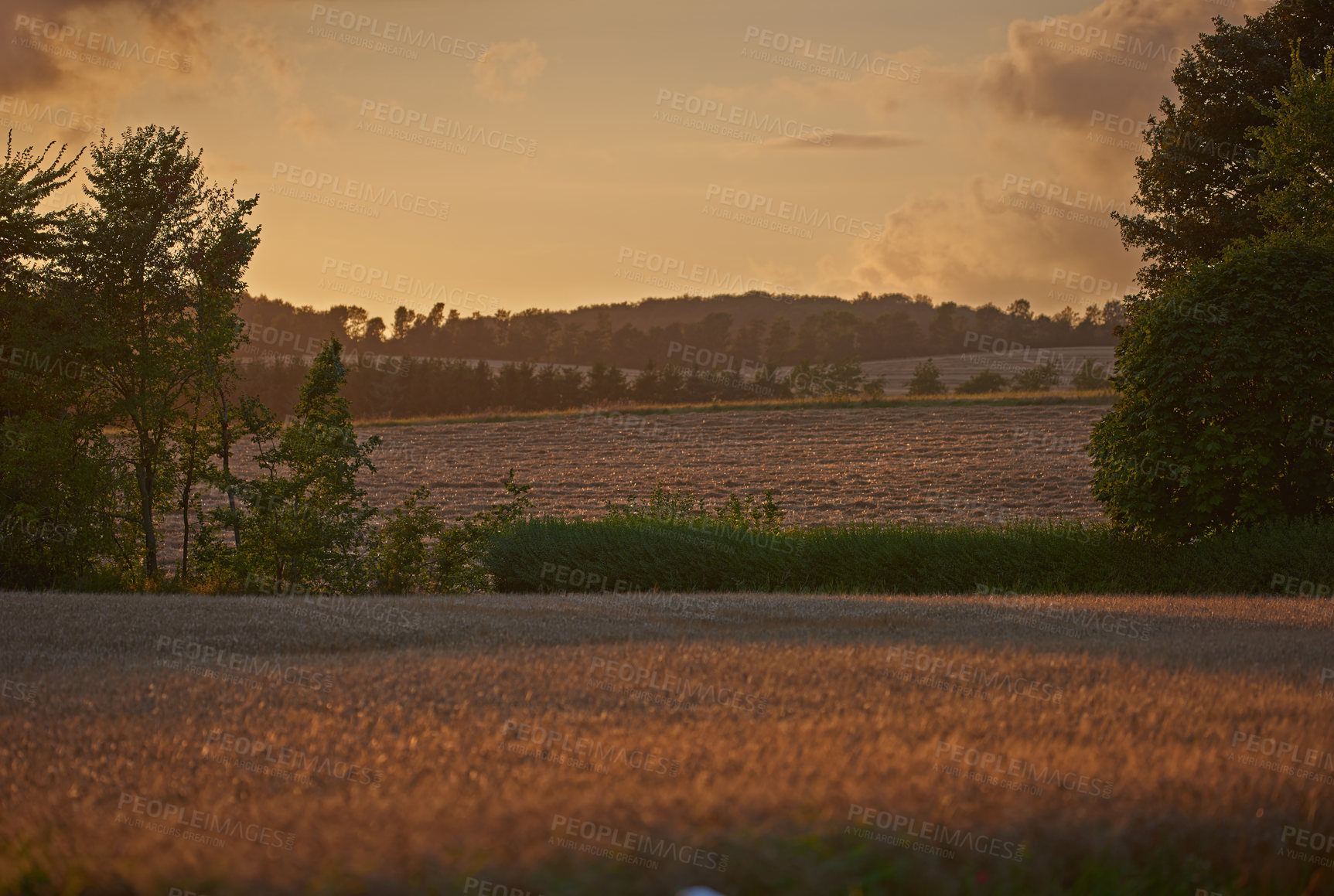 Buy stock photo Autumn, landscape and meadow in countryside, farm and field for texture in nature, harmony and season. Holiday, trip and travel for vacation as wallpaper, background or plants for adventure in Canada