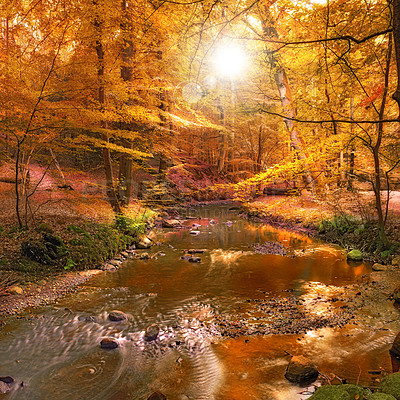 Buy stock photo The beauty of autumn -small river in the forest