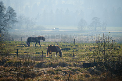 Buy stock photo The beauty of autumn - early morning.