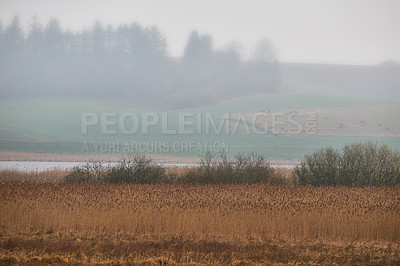 Buy stock photo Farmland, mist and grass with trees, hill or plants for natural growth, harvest or autumn season. Empty space, field and rural area with eco friendly crops, nature or farm of countryside environment