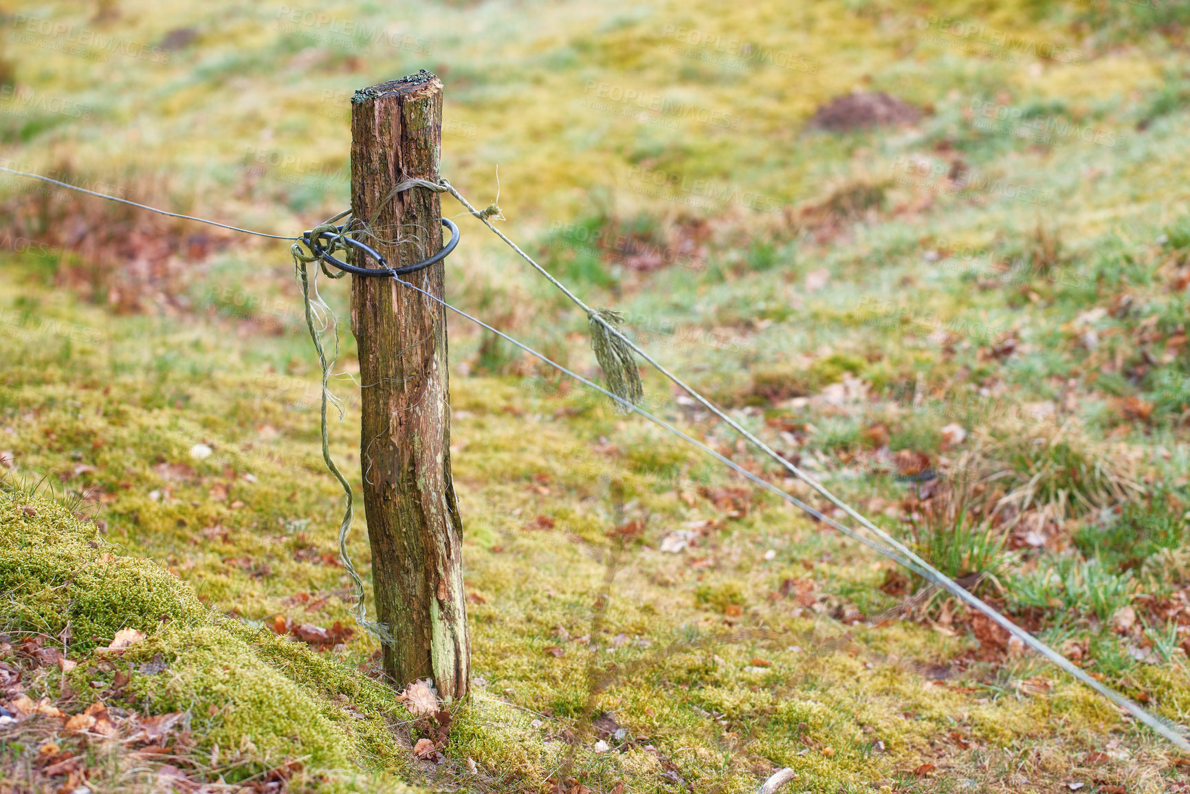 Buy stock photo Cable, farm and fence with pole for safety, protection or barricade on farmland or grass field in nature. Wire, wood and stake with electric conductor for security, barrier or gate in countryside