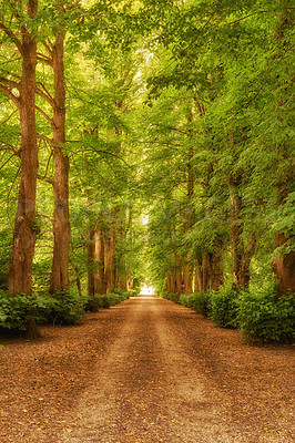 Buy stock photo The beauty of autumn