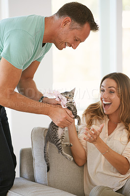 Buy stock photo Man, surprise and gift for woman or pet, excited and happy couple to celebrate in home. Husband, cat and anniversary present for wife, gratitude and bonding together with care for domestic animal