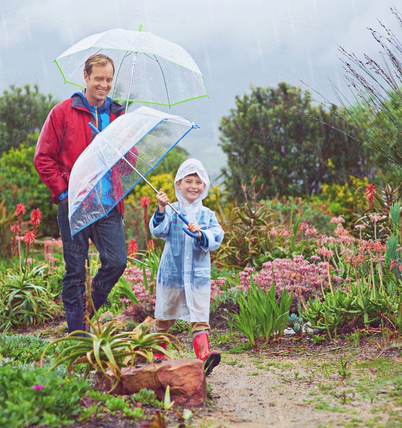 Buy stock photo Rain, umbrella and nature with a father and child outdoor for family fun, happiness and quality time. Happy man and kid walking on adventure with water drops, freedom and play for learning in garden