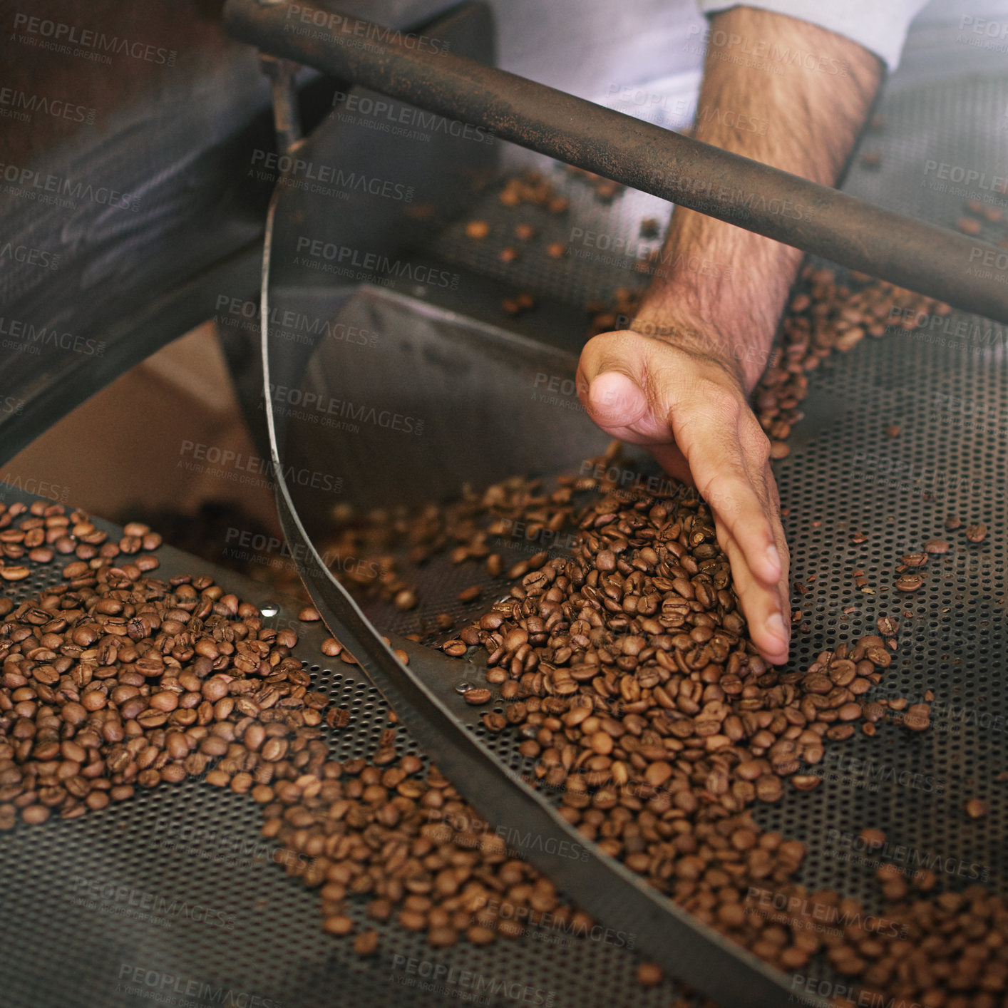 Buy stock photo Coffee beans, machine and hands in industry for production, grinding and roast with flavor, export or quality assurance. Person, factory and manufacturing for caffeine with organic stock for ecology