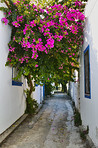 Modern architectural details of Bodrum, Turkey