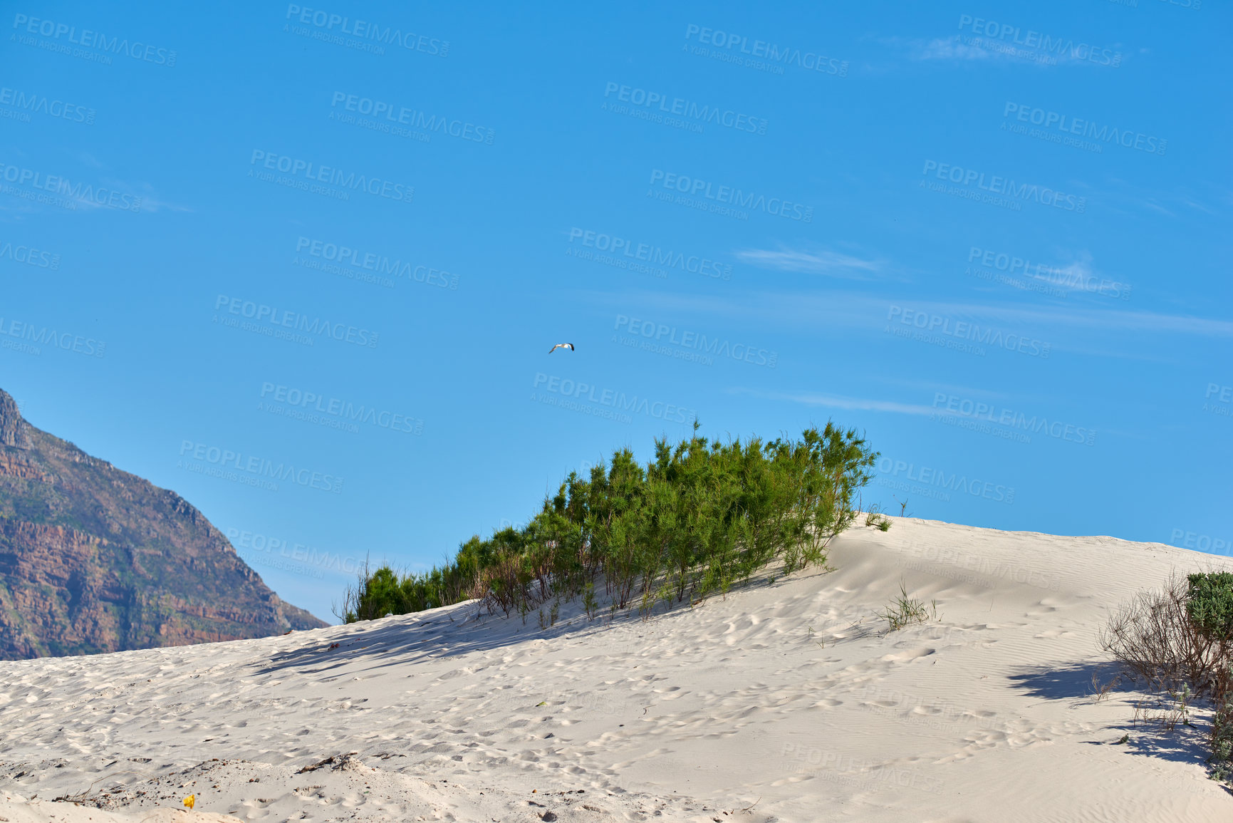 Buy stock photo Nature surrounding Hout Bay,  Cape Town, South Africa 