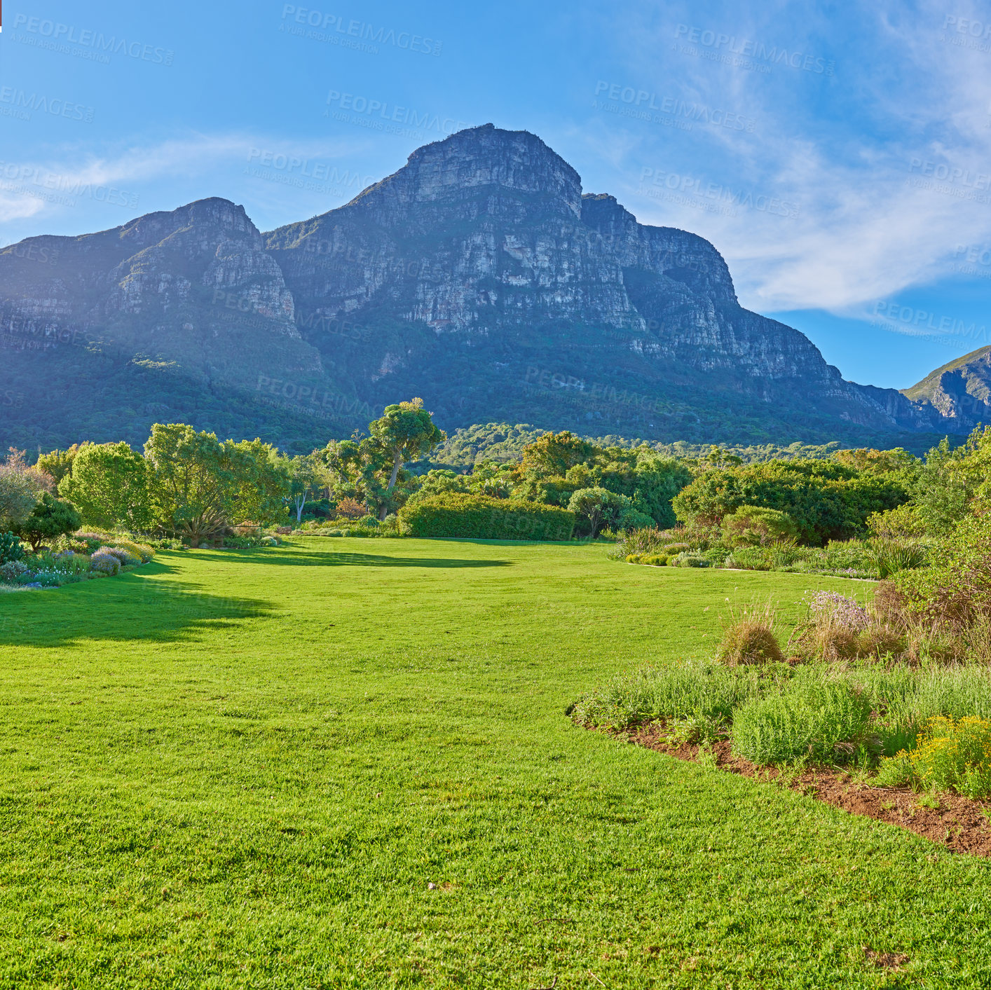 Buy stock photo Nature surrounding the city of Cape Town, South Africa