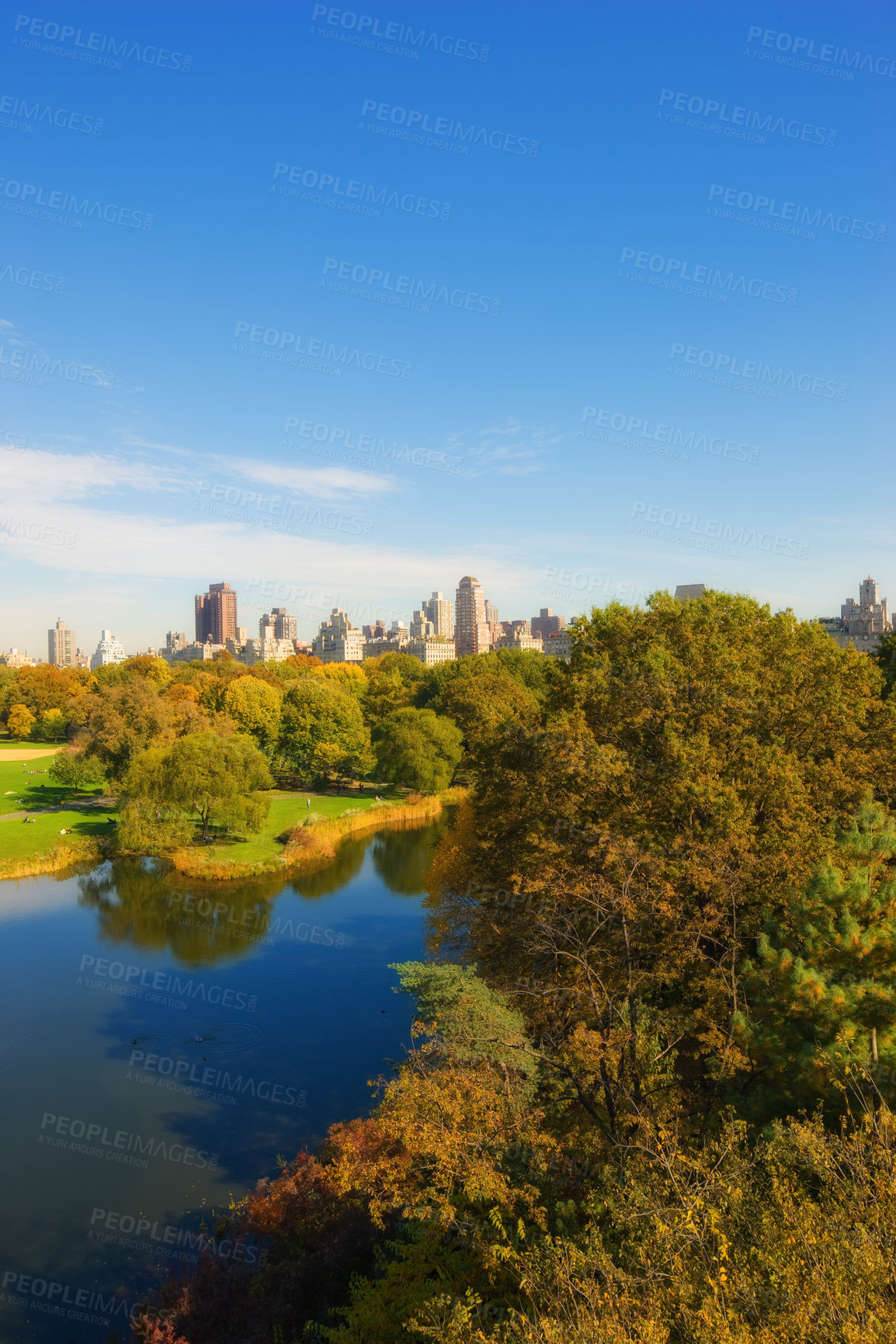 Buy stock photo Park, lake and trees in New York for nature, landscape and natural background outdoors. Travel, city and aerial of forest, woods and water for environment, ecosystem and scenic view for adventure