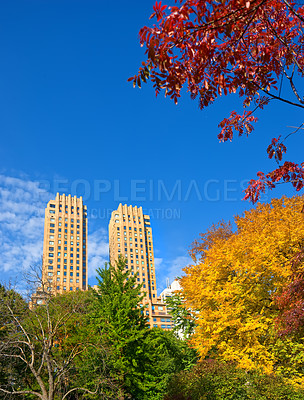 Buy stock photo Park, buildings and trees in New York for nature, landscape and natural background outdoors. Travel, city and forest, woods and skyscraper for environment, ecosystem and scenic view for tourism