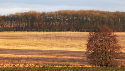 Buy stock photo A photo of farmland in autumn
