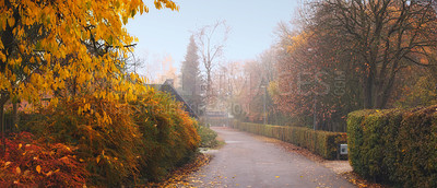 Buy stock photo A driveway with bushes and trees next to the road. Green decorative trimmed plants on the pavement in a town. A street in a village in Denmark on a foggy day with growing shrubs or flora by a roadway