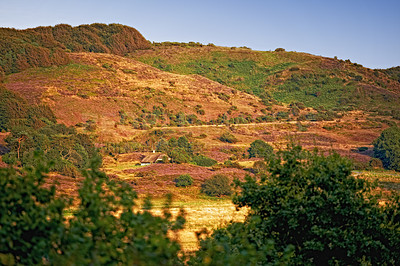 Buy stock photo Landscape, grass and trees in nature with hill, heathland and meadow for field, hiking and travel. Park, tourism and reserve in Denmark, holiday and sustainability with conservation and biodiversity