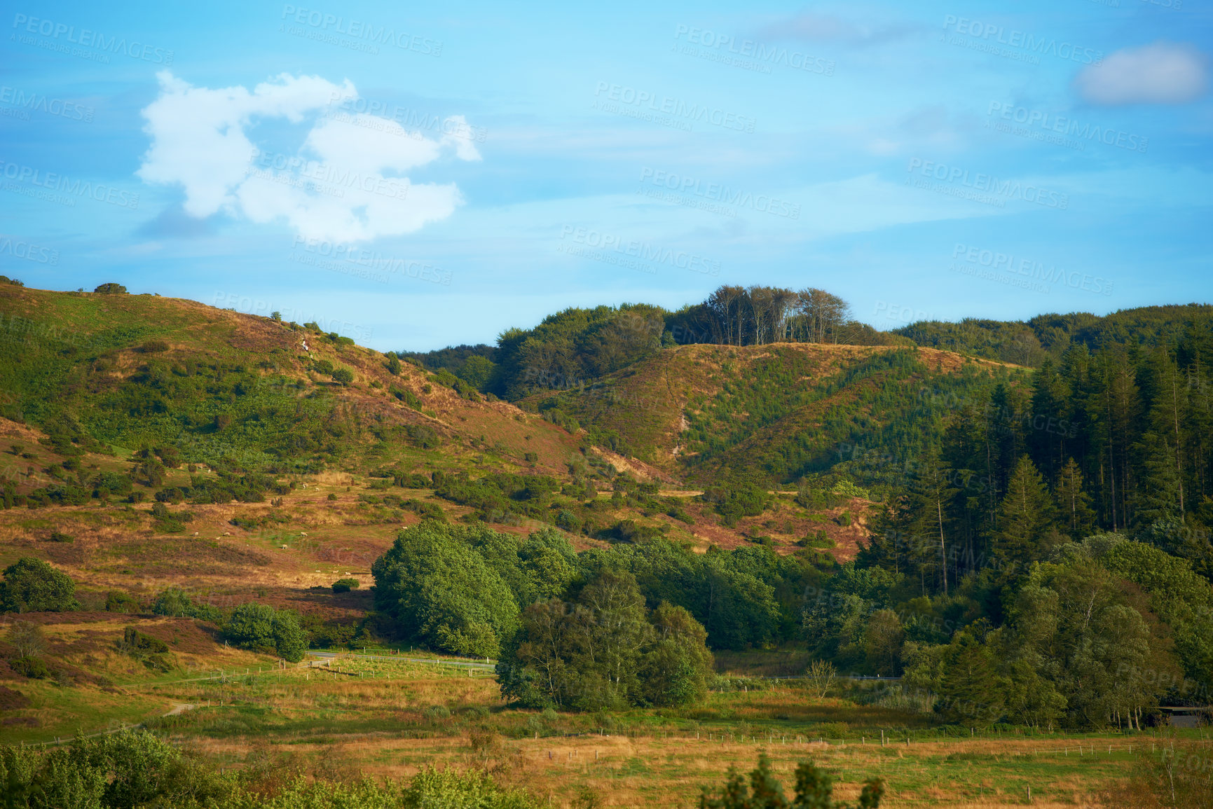 Buy stock photo Hills with green grass, trees and plants on a cloudy summer day. Beautiful landscape and scenery of nature. Outdoors in an adventurous location to hike and explore. Mountain range with a scenic view