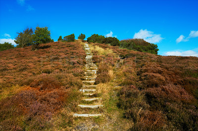 Buy stock photo Landscape, grass and pathway in nature with hill, blue sky and meadow for field, hiking and travel. Park, tourism and reserve in Denmark, holiday and sustainability with conservation and biodiversity