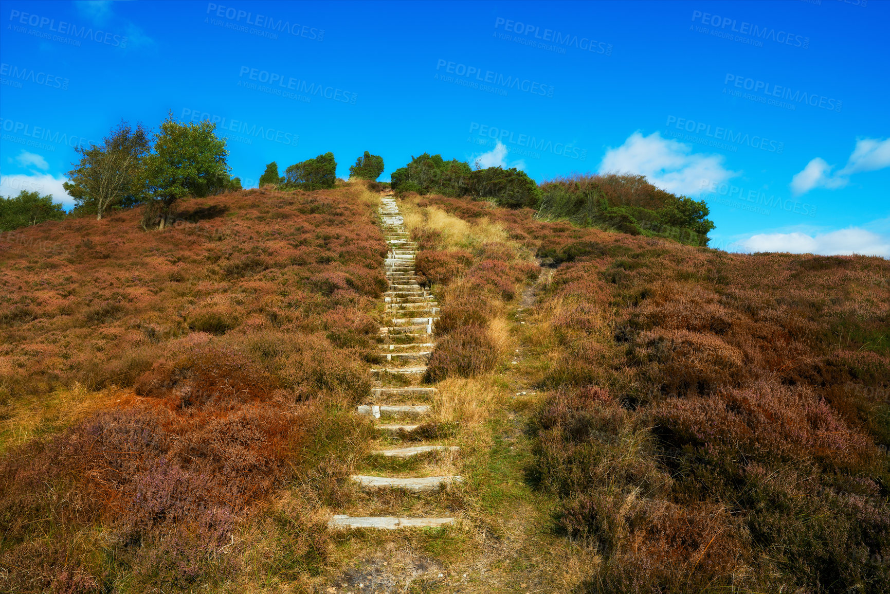 Buy stock photo Landscape, grass and pathway in nature with hill, blue sky and meadow for field, hiking and travel. Park, tourism and reserve in Denmark, holiday and sustainability with conservation and biodiversity