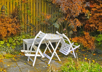 Buy stock photo White wooden chairs and table in a serene, peaceful, lush, private backyard at home in autumn. Patio furniture set in outdoor space, seating in an empty and tranquil garden with scrub plants