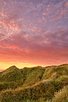 Autumn nature - Westcoast of Jutland, Denmark