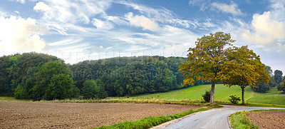 Buy stock photo Landscape, grass and trees in nature with road, blue sky and autumn for vacation, drive and travel. Street, tourism and trip in Sweden for holiday and countryside with sustainability and biodiversity