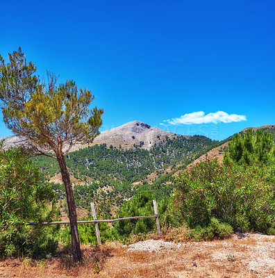 Buy stock photo Nature, landscape and trees on mountain in Spain for environment, travel and scenic destination. Natural background, wallpaper and hills, fence and blue sky in countryside, valley and terrain