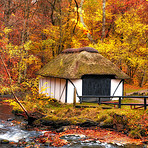 Forest house - National public treasure, Denmark.