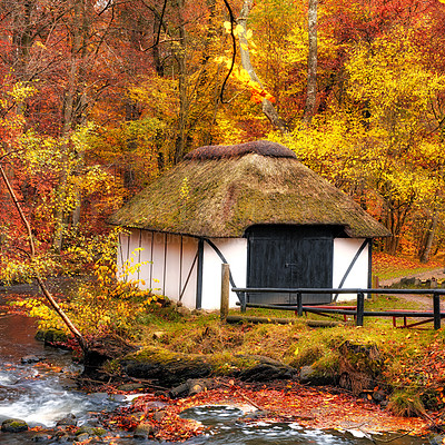 Buy stock photo A several hundred years old forest house.   Public treasure in Denmark. 