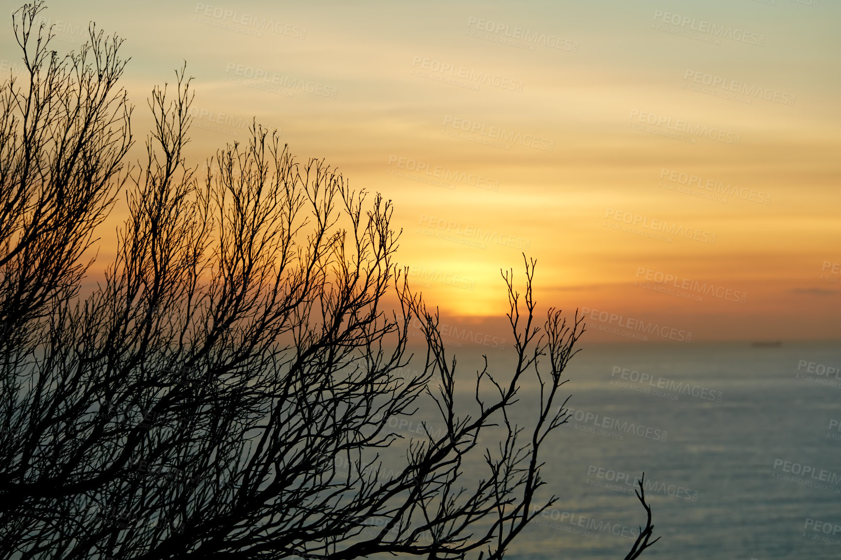 Buy stock photo Tree, sky and sea with sunset on horizon for holiday, summer vacation or travel to Maldives. Ocean water, woods and sunrise in nature outdoor for adventure, peace and calm environment on background