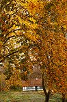 Forest house - National public treasure, Denmark.