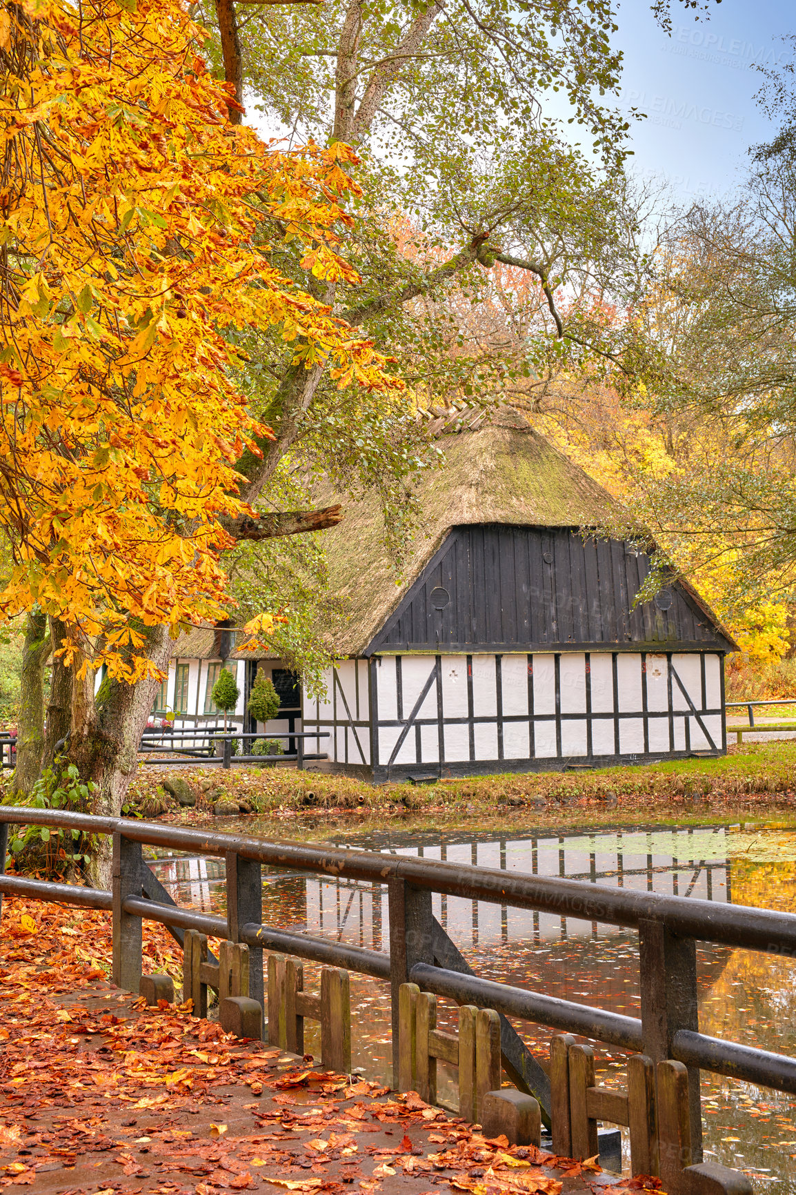 Buy stock photo Outdoor, countryside and holiday house in forest in nature for peace, adventure and break in Canada. Woods, jungle and lake or water dam to relax, chill and vacation in rural area as family home