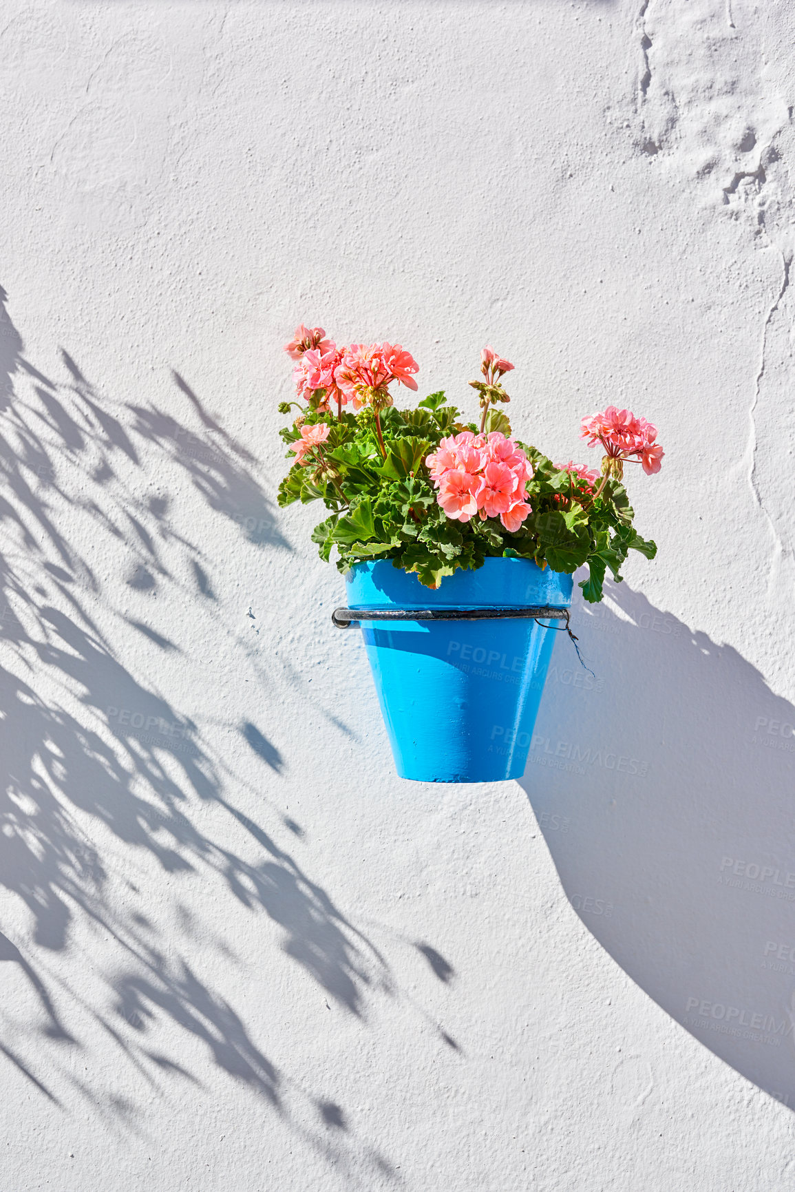 Buy stock photo Flower pot, wall and travel with architecture, landscaping and village as texture or wallpaper. Background, nature and home garden decor for tourism, outdoor adventure or holiday destination in Spain